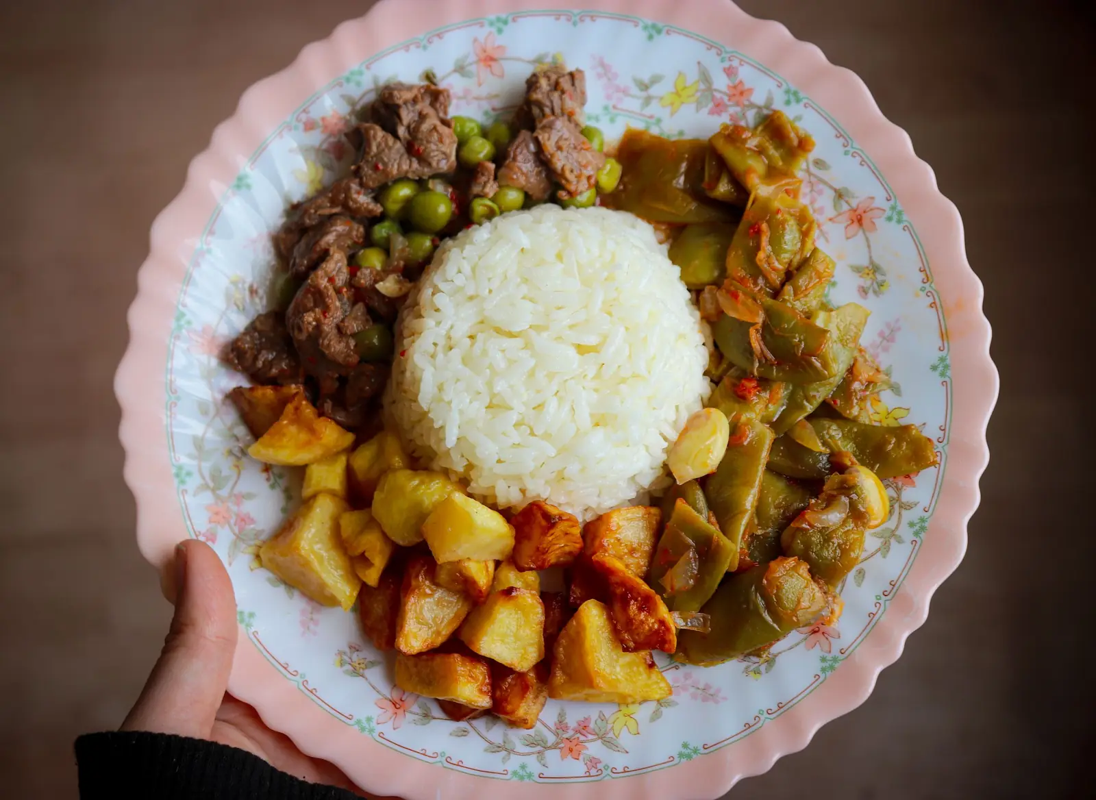 Mão segura um prato com arroz, carne, ervilhas, vagem e batatas assadas
