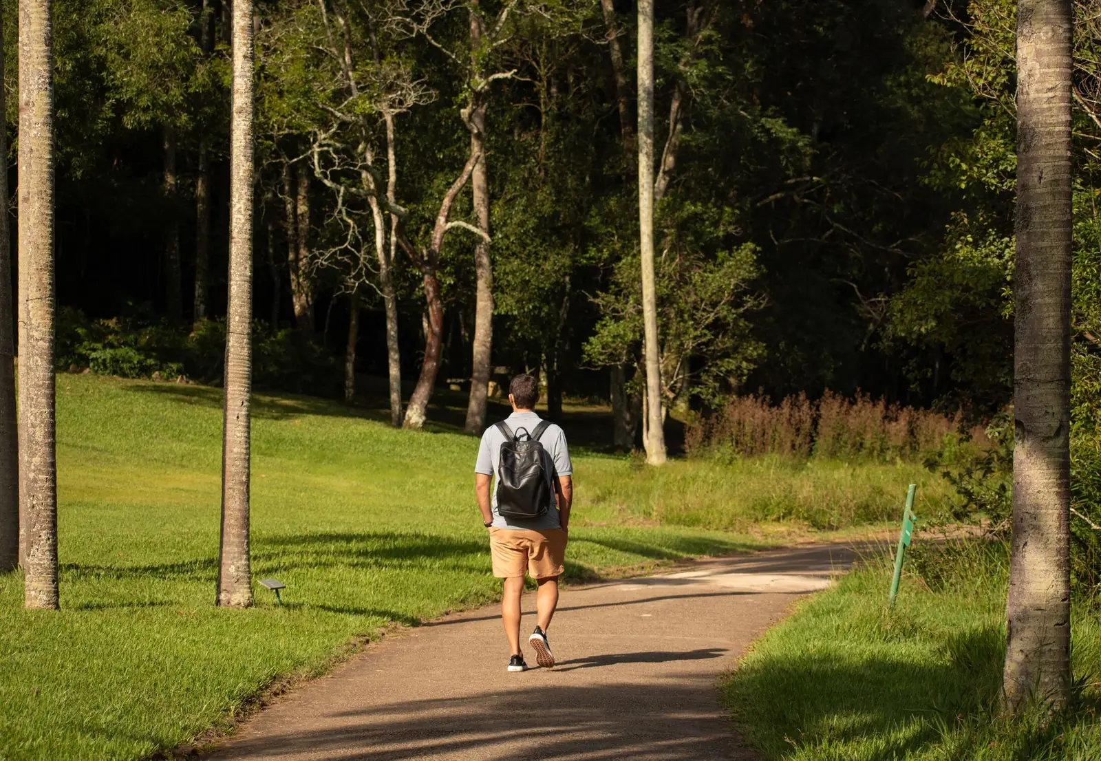 Homem de mochila, visto de costas, caminha por uma trilha de parque entre árvores sob a luz do sol