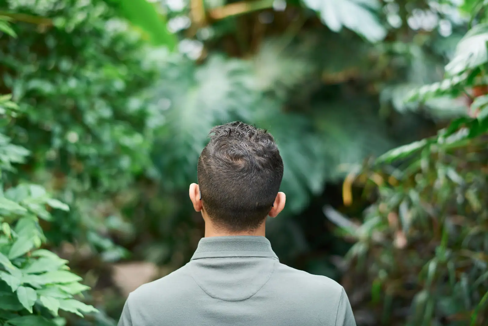Homem de cabelo curto e escuro, visto de costas, entre plantas de folhas verdes