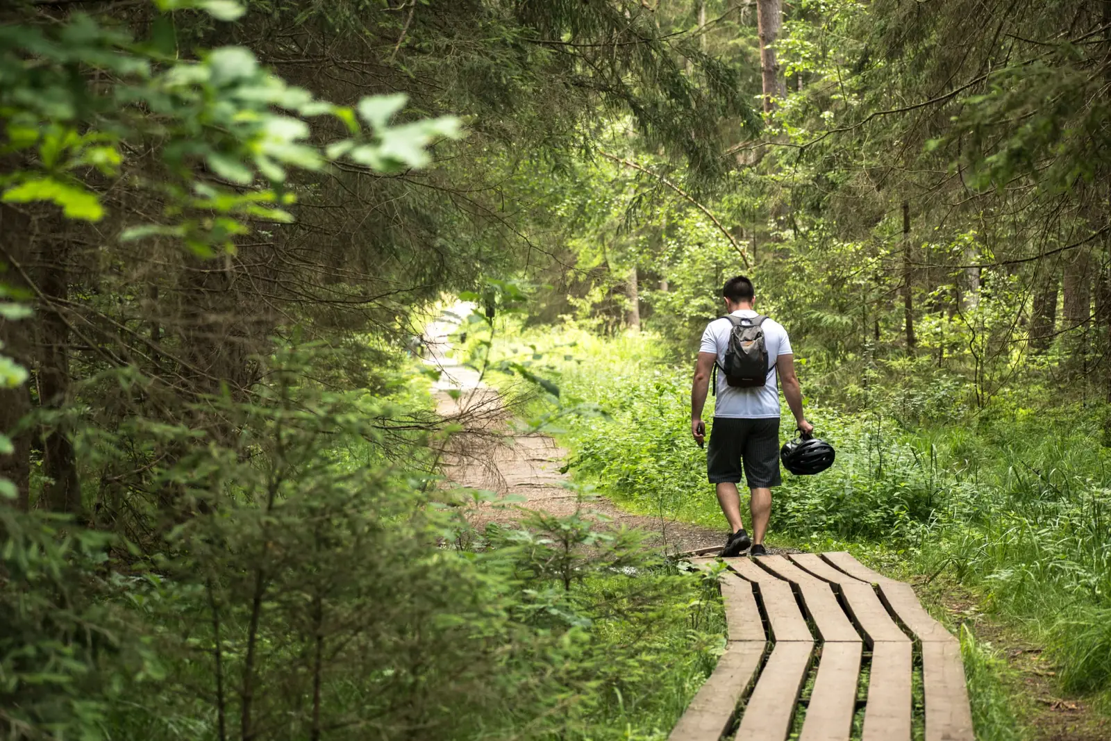 Homem de mochila, visto de costas, caminha por uma passarela de madeira em uma floresta verde
